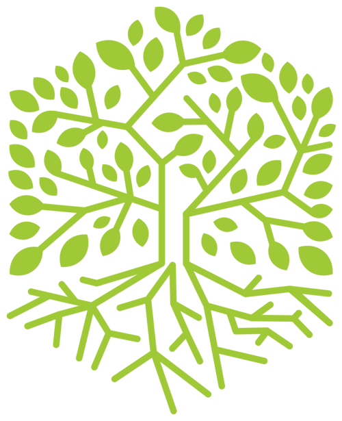 Dent Root Word Definition - A Weakening Or Lessening Effect Costs That Have Made A Dent In The Budget.