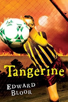 Tangerine By Edward Bloor Part 3 And Author S Note Vocabulary