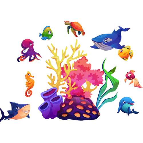 Conch Definition, Meaning & Synonyms